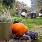 Enjoy Cozy Nest View Hills Garden Forest Sauna Hottub * Jablonné v Podještědí