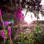 Enjoy Cozy Nest View Hills Garden Forest Sauna Hottub *
