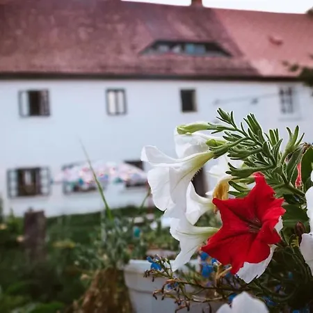 Apartment Enjoy Cozy Nest View Hills Garden Forest Sauna Hottub Jablonne v Podjestedi